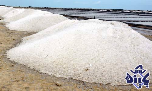 صادرات نمک به روسیه و هند